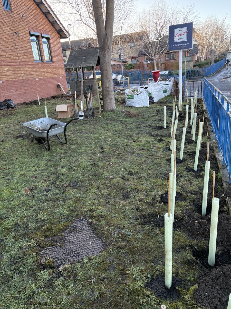 The Action Group (@theactiongroup_) on Twitter photo Our little trees are doing well one week on - we are excited to watch them grow! Thanks to <a href="/TCVtweets/">The Conservation Volunteers (TCV)</a> for this amazing opportunity to improve our community, whilst helping wildlife and climate! #IDigTrees Our little trees are doing well one week on - we are excited to watch them grow! Thanks to <a href="/TCVtweets/">The Conservation Volunteers (TCV)</a> for this amazing opportunity to improve our community, whilst helping wildlife and climate! #IDigTrees