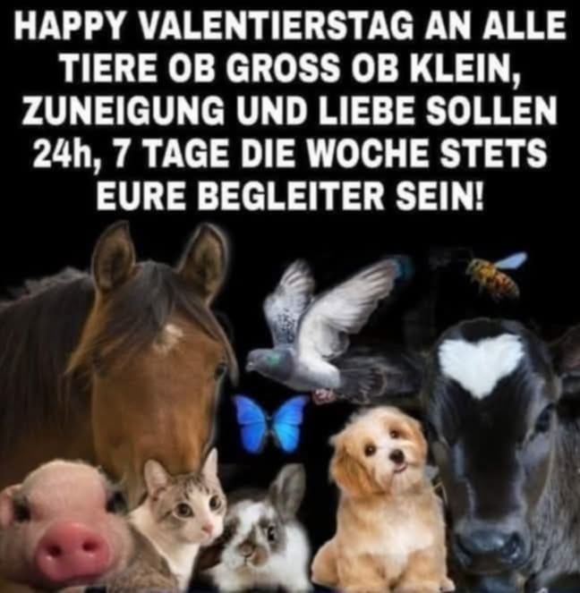 HAPPY VALENTIERSTAG!💗
