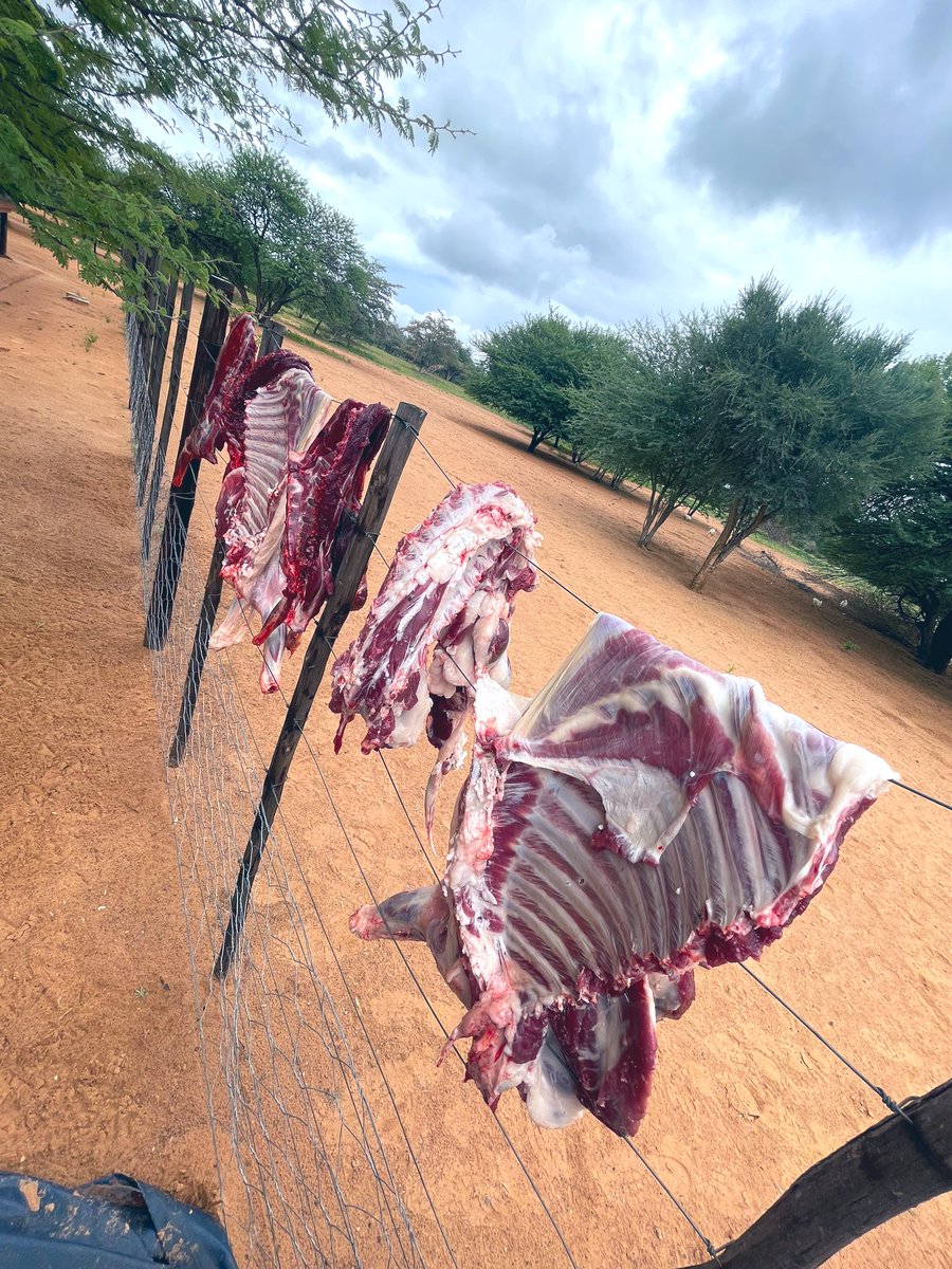 Happy Valentines 💝. Dithunya Tsa Modisa 🫡