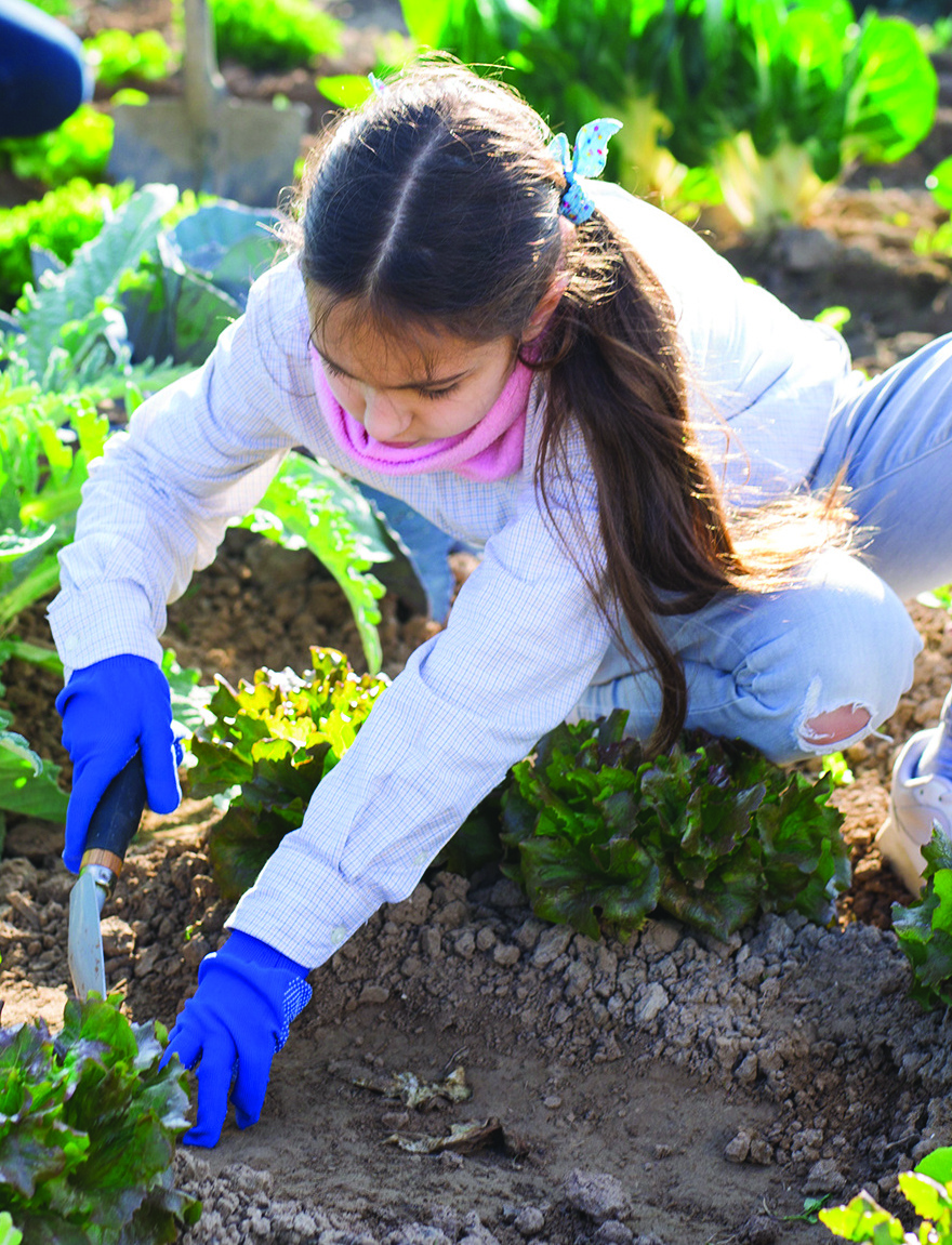 STORY - Deze week verzenden we weer 3.600 zadenpakketten naar basisscholen en bso’s in Nederland! <a href="/JongLerenEten/">Jong Leren Eten</a> @smaaklessen #voedseleducatie #schoolmoestuin 
Dank aan <a href="/Patijnenburg/">Patijnenburg</a> voor het zorgvuldig inpakken van alle pakketten #partnership