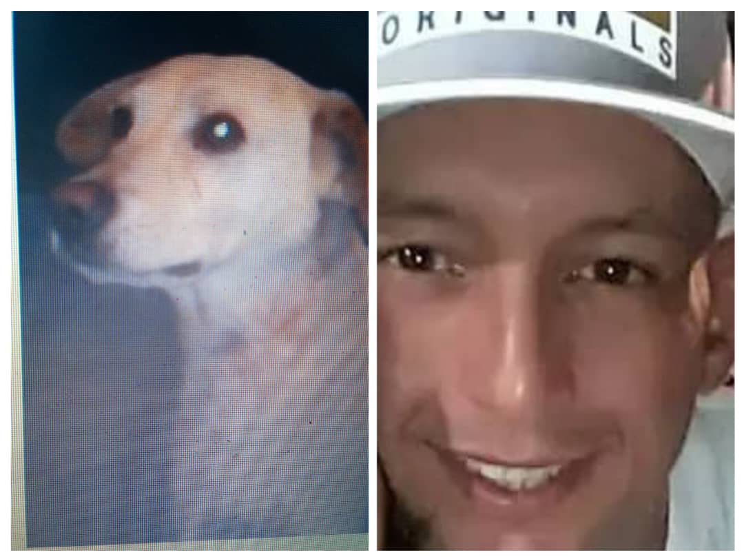 Éste individuo llamado Darwin Rivera Urbina apodado el iguano *MATA el día miércoles 12-02-25 a perrito llamado coco de una FUERTE PATADA, ESTRELLÓ contra la pared DESPRENDIENDO su HIGADO*😭 . En calle 05 diamante de Táriba, siendo éste vecino de la misma cuadra⚖️