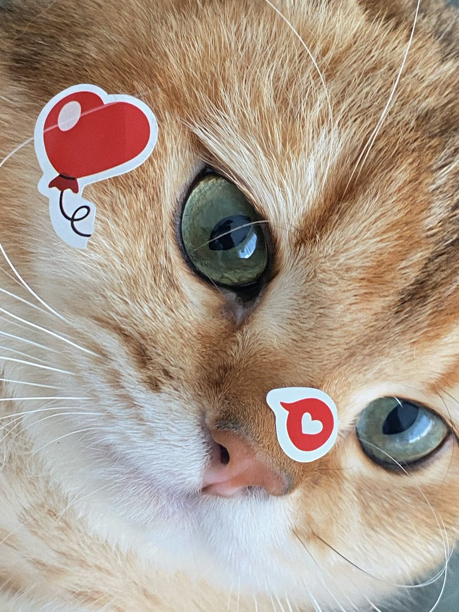 ❣️ #ValentinesDay