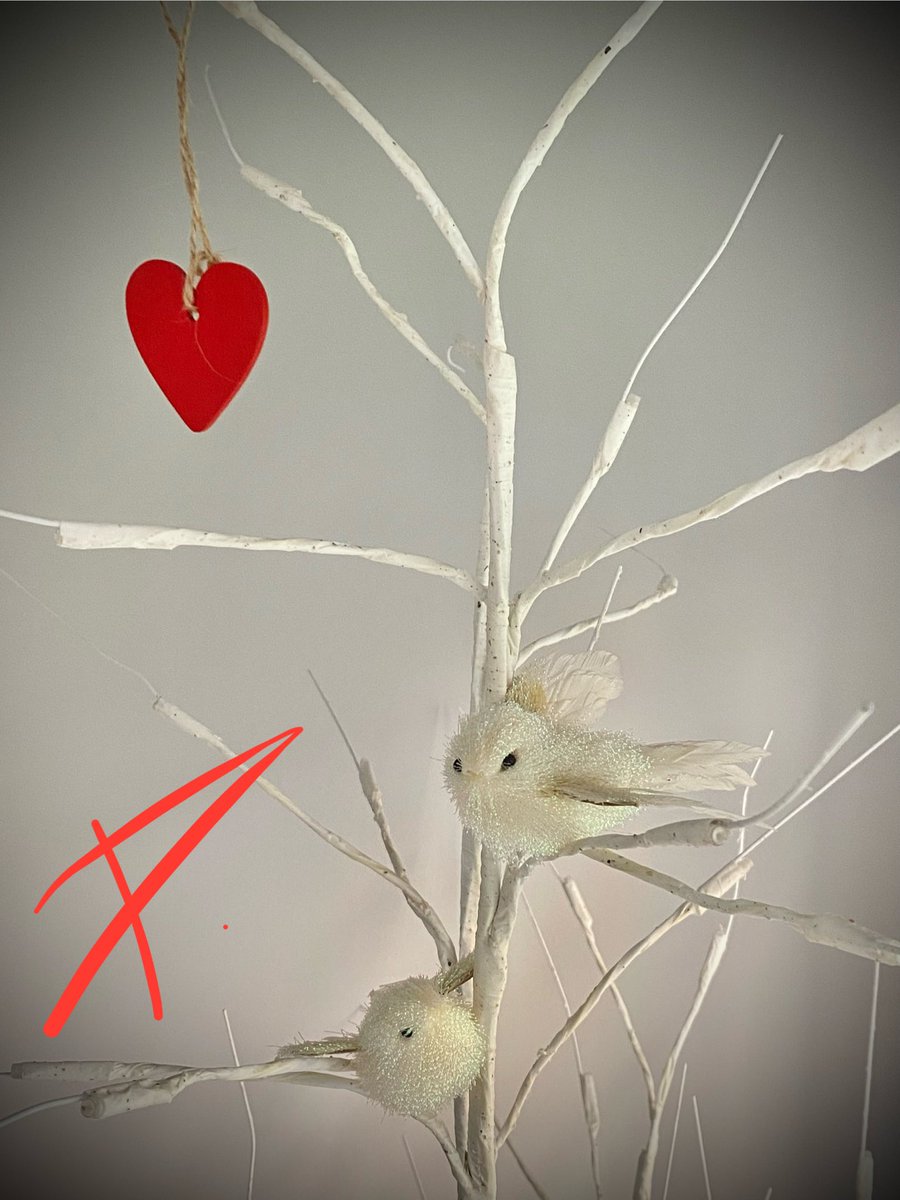 ❤️Can there be,
Anything more #complex than love,
A four letter word,
Yet
With a million messages,
Tell me, darling,
What does it mean to you…? ❤️
#vss365 
#Valentines 
(📸 mine)