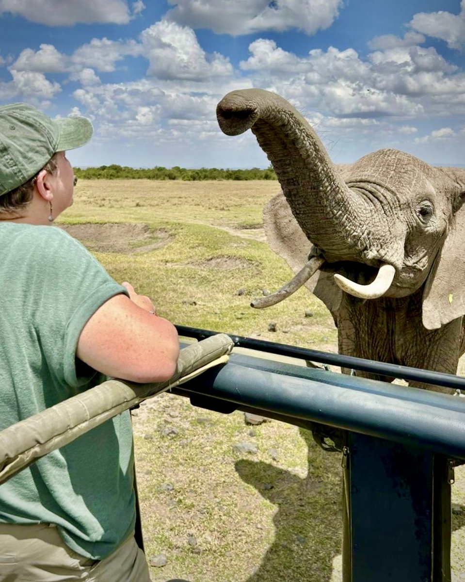KichecheCamps's tweet photo. Your first Kicheche kiss is one you never forget.

📍Kicheche Laikipia @KichecheCamps
  Peter Kariuki
  @olpejeta https://t.co/kLK5A7nU8r