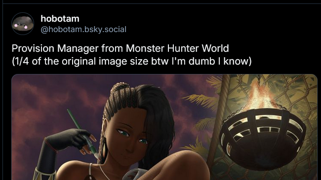 hobotam 🔞 tweet media