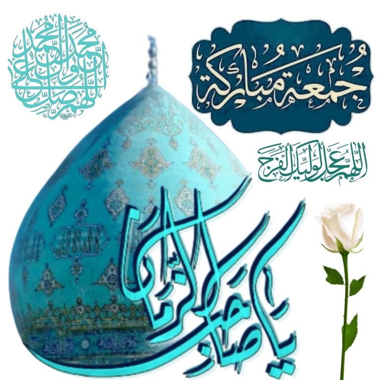 حمامة السلام🕊 tweet media