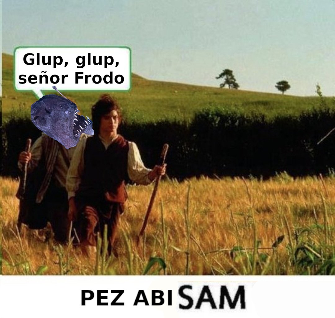 Memes_Historia's tweet image. 