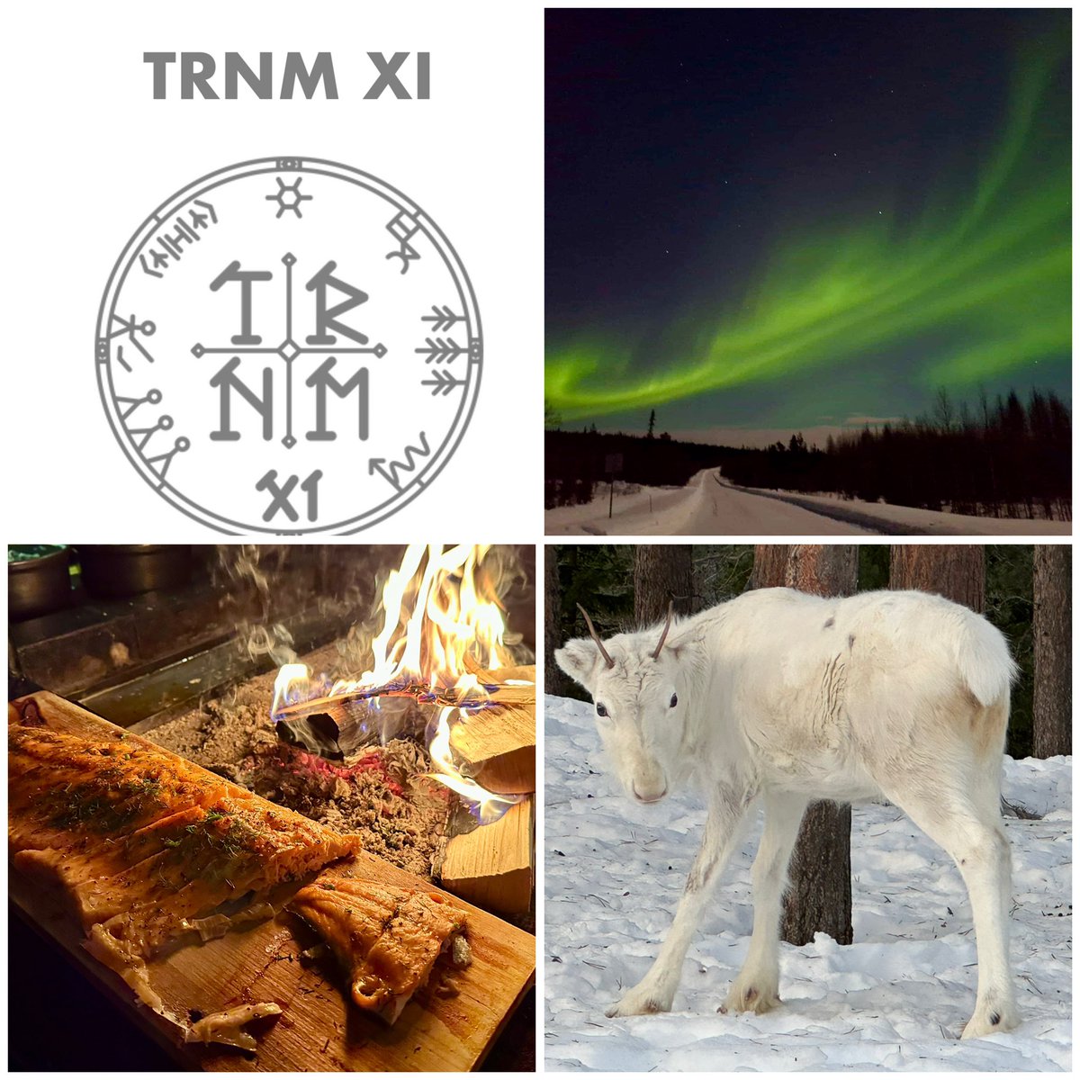 Miguel M. Ugeda (@m_ugeda) on Twitter photo So grateful to <a href="/AaltoAtoms/">Atomic Scale Physics</a> folks for their invitation to the fantastic TRNM XI workshop in the amazing Levi (Finland). Three days of top science, Finnish culture and stunning auroras! So grateful to <a href="/AaltoAtoms/">Atomic Scale Physics</a> folks for their invitation to the fantastic TRNM XI workshop in the amazing Levi (Finland). Three days of top science, Finnish culture and stunning auroras!