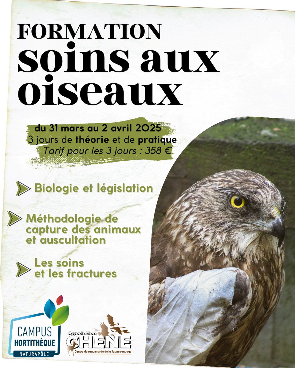 AssoCHENE's tweet photo. 𝗦𝗼𝗶𝗻𝘀 𝗮𝘂𝘅 𝗼𝗶𝘀𝗲𝗮𝘂𝘅 🦉🪶🐦‍⬛
Avec @hortitheque, nous proposons une #formation "soins aux #oiseaux" se déroulant du 31 mars au 2 avril. 🩺 Pour participer, contactez le campus Hortithèque : cfppa.fauville@educagri.fr
ou 02 35 95 97 04

#soigneur #soigneuranimalier https://t.co/AVFTMmMVAA