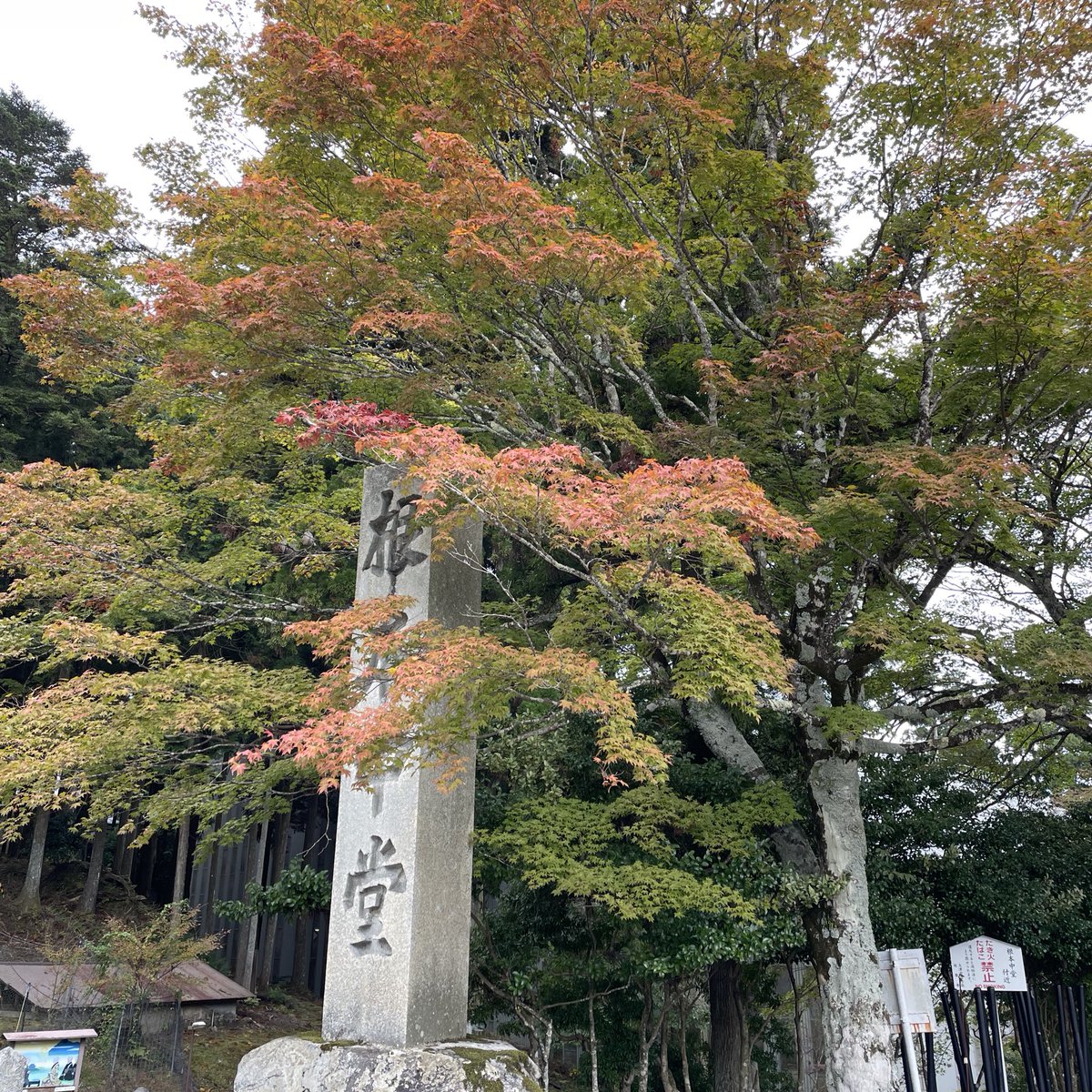N5Rio's tweet photo. 秋(2024) https://t.co/PUQFzioHwn