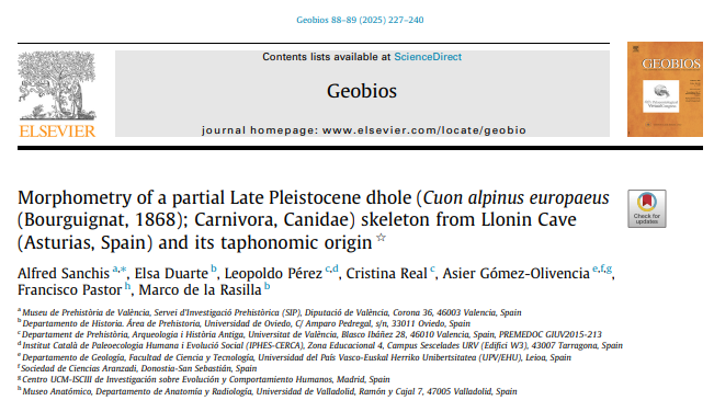 leozerep (@leozerep15) on Twitter photo New article! A morphometric and taphonomic study on dhole (Cuon alpinus europaeus) recovered in the Llonin Cave <a href="/muprevalencia/">Museu de Prehistòria de València</a> <a href="/ArqueologiaUV/">Dpt. Prehistòria, Arqueologia i Història Antiga UV</a> <a href="/uniovi_info/">Universidad Oviedo</a> <a href="/UVa_es/">Gabinete de Comunicación Universidad de Valladolid</a> <a href="/upvehu/">UPV/EHU</a> 🦴🦊🐺 New article! A morphometric and taphonomic study on dhole (Cuon alpinus europaeus) recovered in the Llonin Cave <a href="/muprevalencia/">Museu de Prehistòria de València</a> <a href="/ArqueologiaUV/">Dpt. Prehistòria, Arqueologia i Història Antiga UV</a> <a href="/uniovi_info/">Universidad Oviedo</a> <a href="/UVa_es/">Gabinete de Comunicación Universidad de Valladolid</a> <a href="/upvehu/">UPV/EHU</a> 🦴🦊🐺