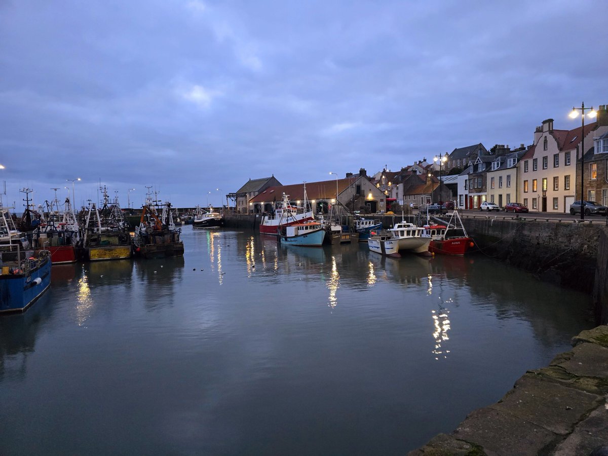 J J Stenhouse (@jjstenhouse) on Twitter photo I love that the eider ducks and gulls come into the harbour to sleep alongside the boats. It's their safe haven. We all need one. Where's yours? #safehaven #sleep #rest #seabirds I love that the eider ducks and gulls come into the harbour to sleep alongside the boats. It's their safe haven. We all need one. Where's yours? #safehaven #sleep #rest #seabirds