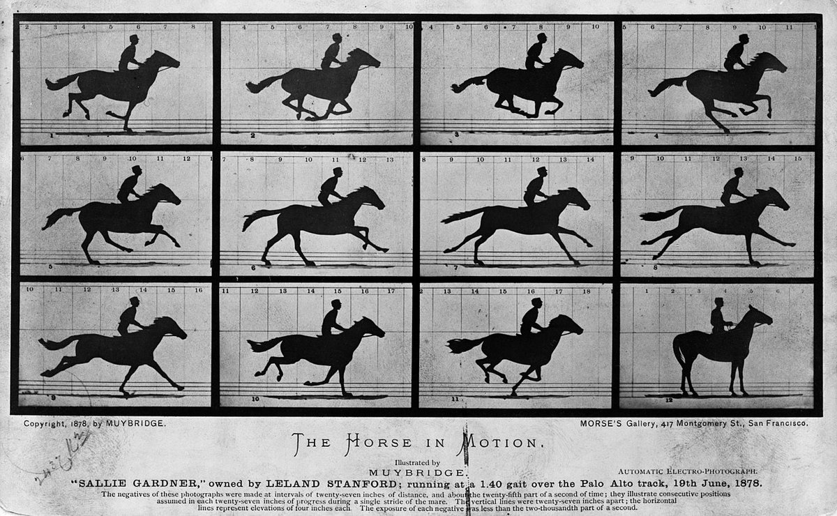 qikipedia's tweet photo. Eadward Muybridge’s 1878 photographs proved that horses could ‘fly’ (i.e. all four hooves come off the ground when they gallop). https://t.co/CLFCoMmJ7x
