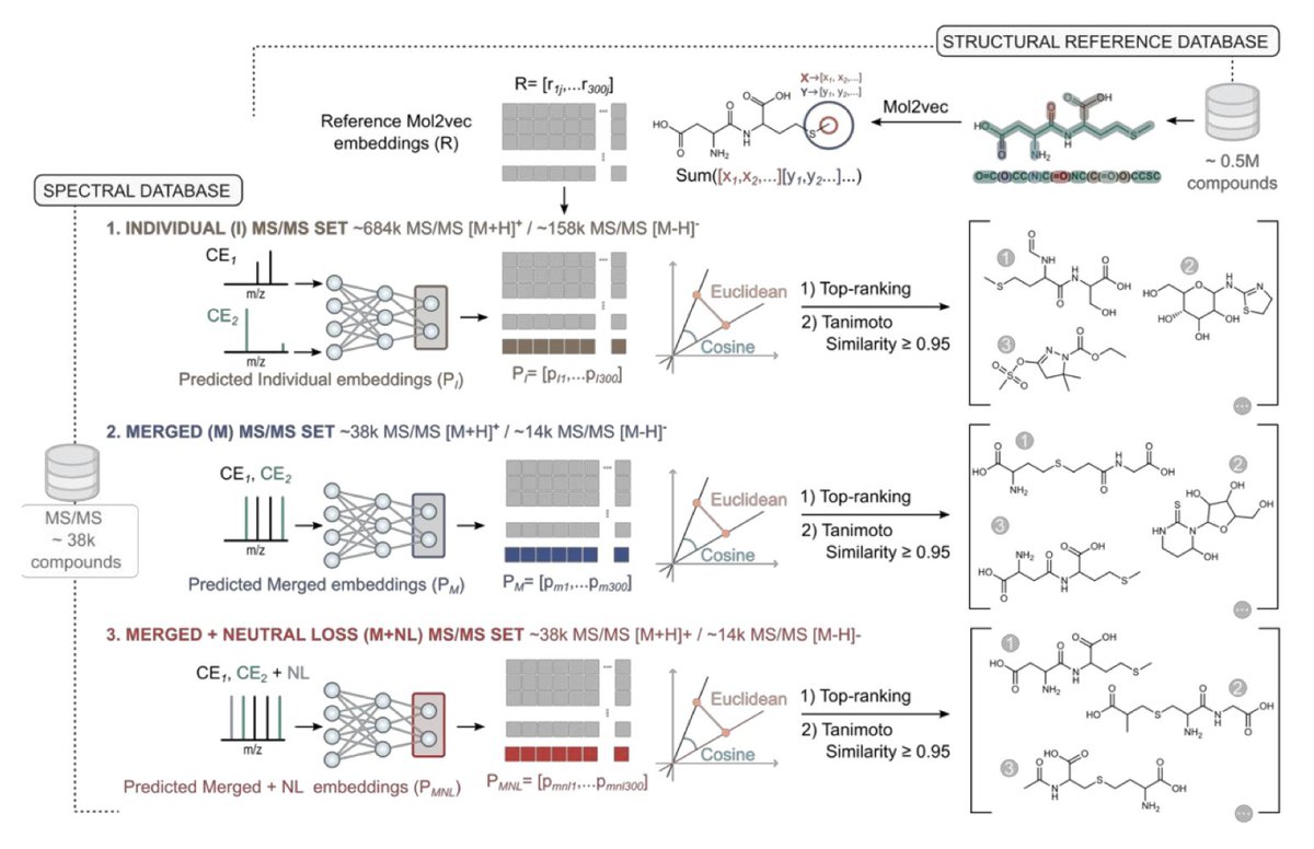 ChemEmbed: A deep learning framework for metabolite identification using enhanced MS/MS data and multidimensional molecular embeddings

1/ ChemEmbed presents a novel approach to metabolite identification using deep learning combined with enhanced MS/MS spectra, achieving