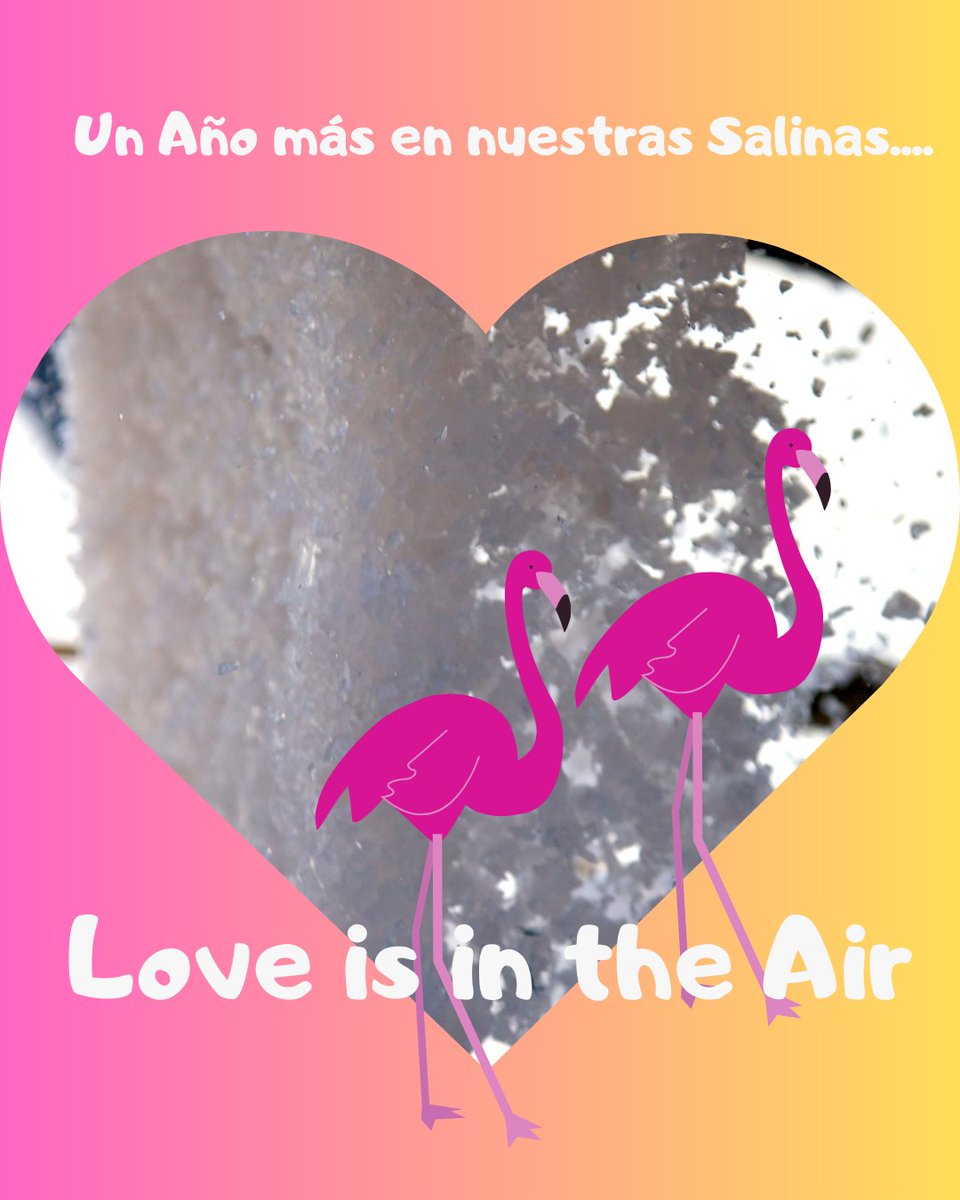 Por un San Valentín Con mucho Sabor!!