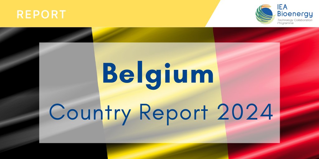 🌱 COUNTRY REPORT: Implementation of bioenergy in Belgium 🇧🇪  – 2024 update

▶️ Belgium’s renewable energy share in final energy consumption was 14% in 2022, with around 60% of renewable energy produced from biomass.
▶️ Belgium is a small, densely populated country with high