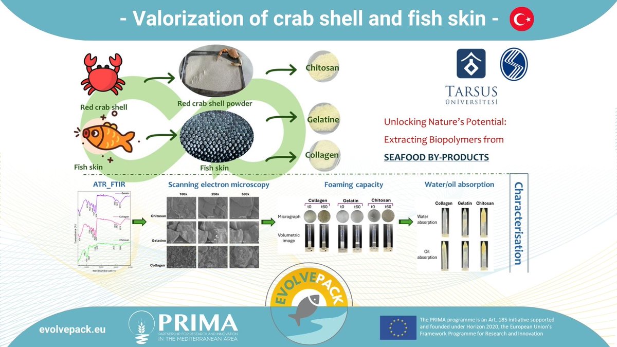 👋 Hi everyone!🌊🐚 Exciting news the TU team is working on extracting valuable biopolymers from red crab shells and fish skins. They're analyzing these materials' chemical composition, microscopic structures, and properties as foam agents and absorbents.<a href="/PrimaProgram/">PRIMA Program Mediterranean Partnership 🇪🇺</a>