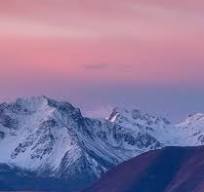 interactions qabus tweet media