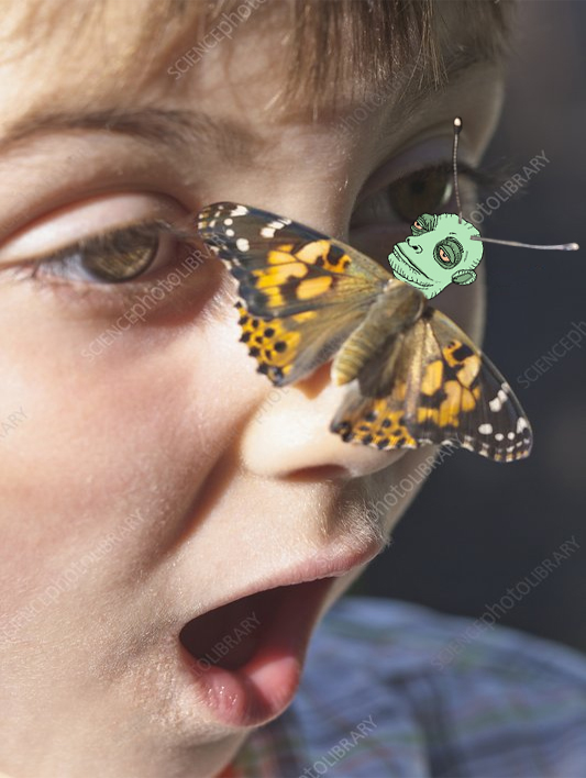 🪂 1M $yolo weekly rewards airdropped to 69 stakers on wednesday 🥳

🤯 25.64% of the total $yolo supply is now locked in our <a href="/MeteoraAG/">Meteora</a> pool

🔒 in total 55% of all $yolo supply now locked in vaults and pools

✅ we have pledged to burn 26M $yolo from our treasury in 26 weeks.