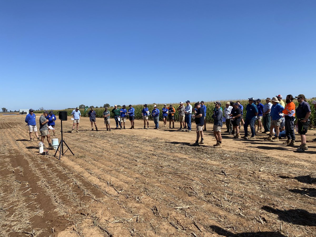 AdvancedAg (@advancedag) on Twitter photo Cracking Summers day for our Corn Demonstration Day at Kaarimba. Great discussion on paddock and soil preparation Corn Varieties IPM insect strategy 360 wave planter technology IPL Lee Menhenett Nitrogen strategies and trial replication on N losses <a href="/pioneerseedsau/">Pioneer Seeds - Australia</a> Cracking Summers day for our Corn Demonstration Day at Kaarimba. Great discussion on paddock and soil preparation Corn Varieties IPM insect strategy 360 wave planter technology IPL Lee Menhenett Nitrogen strategies and trial replication on N losses <a href="/pioneerseedsau/">Pioneer Seeds - Australia</a>