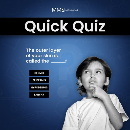 mathmakesmart's tweet image. The outer layer of your skin is called the ______?
Drop your answers in the comments below! 📷
Let’s see how many of you get it right! 📷
📷 At Math Make Smart, learning is always fun and interactive! 
📷 mathmakesmart.com
 #MathMakeSmart #QuickQuiz #Science #FunLearning