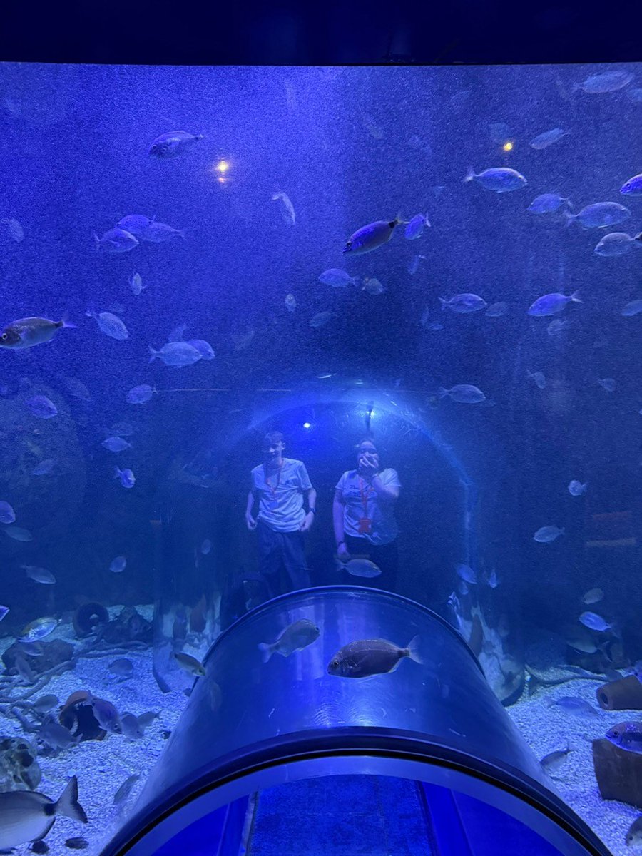 Our #Valencia trip students are having a fantastic time! Today, they visited the incredible Oceanogràfic València Aquarium, Europe's largest aquarium, and got up close with incredible marine life!
#JTFS #Oceanografic #SchoolTrip #UnforgettableExperiences #MakingMemories
