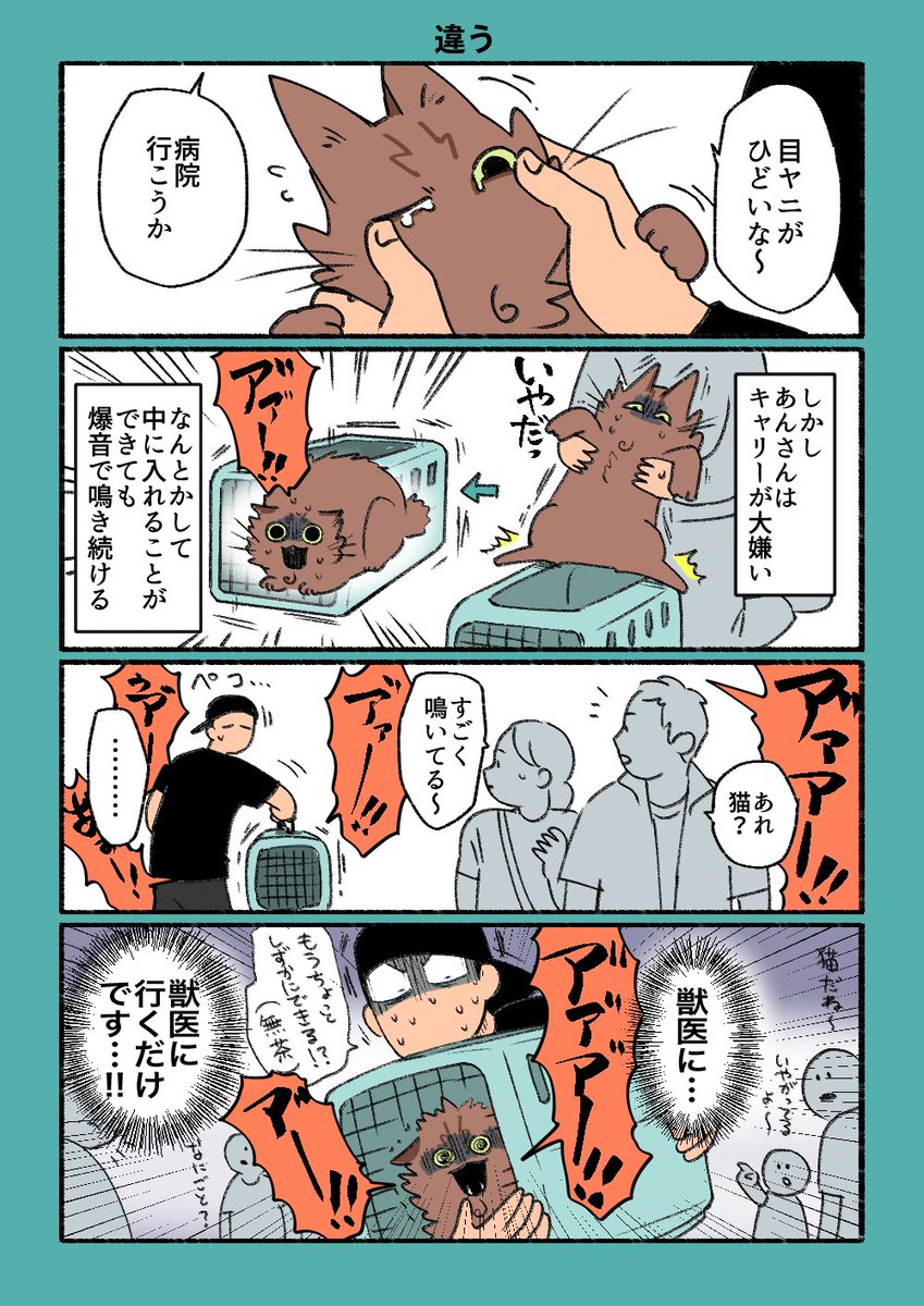 お迎えした時からウィルス性の炎症を起こしてた
#実録 #猫のあんとぽん #猫 #cats #日記
#漫画が読めるハッシュタグ