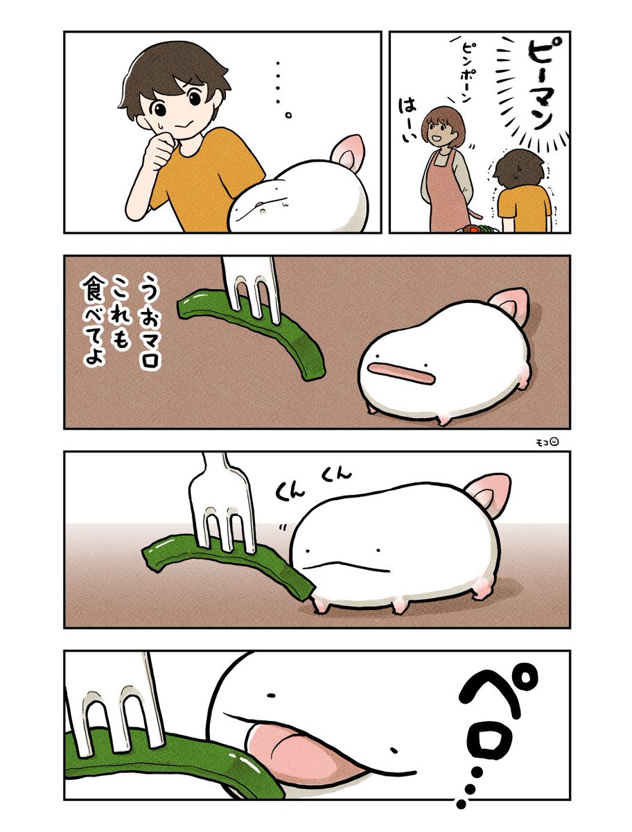 (4/4) 