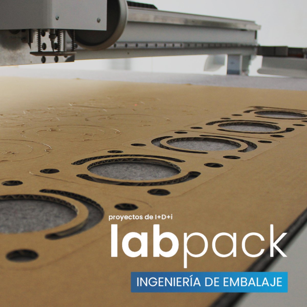 alfilpack's tweet image. ▶️En #Alfilpack diseñamos soluciones de #embalaje personalizadas, optimizando funcionalidad, sostenibilidad y eficiencia. Gracias a nuestro Comité de Innovación (CODI), creamos embalajes de alta calidad que se adaptan a cada necesidad. 

#innovacion #embalajeindustrial