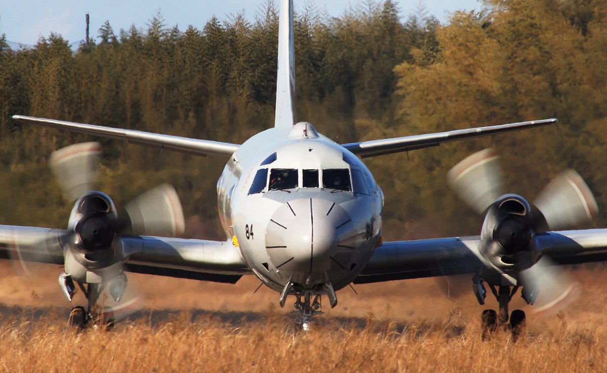rtLMCoKEKinpCPj's tweet image. 皆さんが静浜基地のC-1を
上げてるのでこちらは
下総基地のP-3Cを、、、
#下総基地
#P3C
