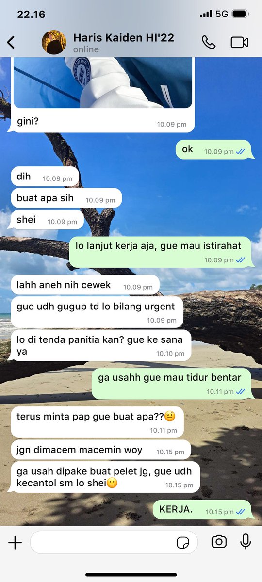 alesector's tweet image. 329. urgent versi sheila