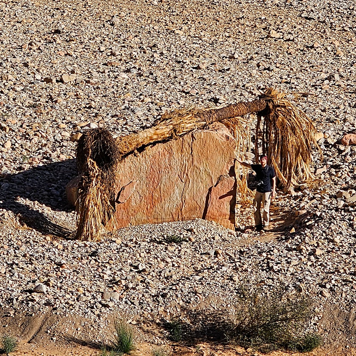Scienvy's tweet image. Read all about an exciting fieldwork trip to Morocco by ARIES student Dylan Seaton in today's SCI ENVY blog post!
@ARIES_DTP @PlymUni
scienvy.co.uk/post/tapping-i…