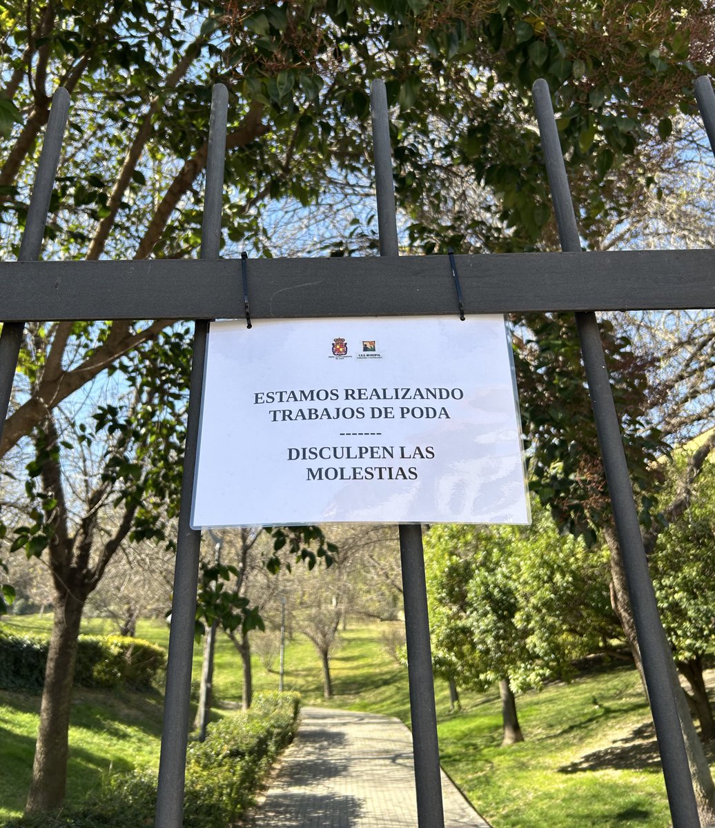 Así lleva el parque del Seminario como 3 semanas. Y poca motosierra se escucha. Y las anteriores podas se han realizado mientras los demás hemos podido disfrutar del espacio.

No se entiende. <a href="/AytoJaen/">Ayuntamiento de Jaén</a>