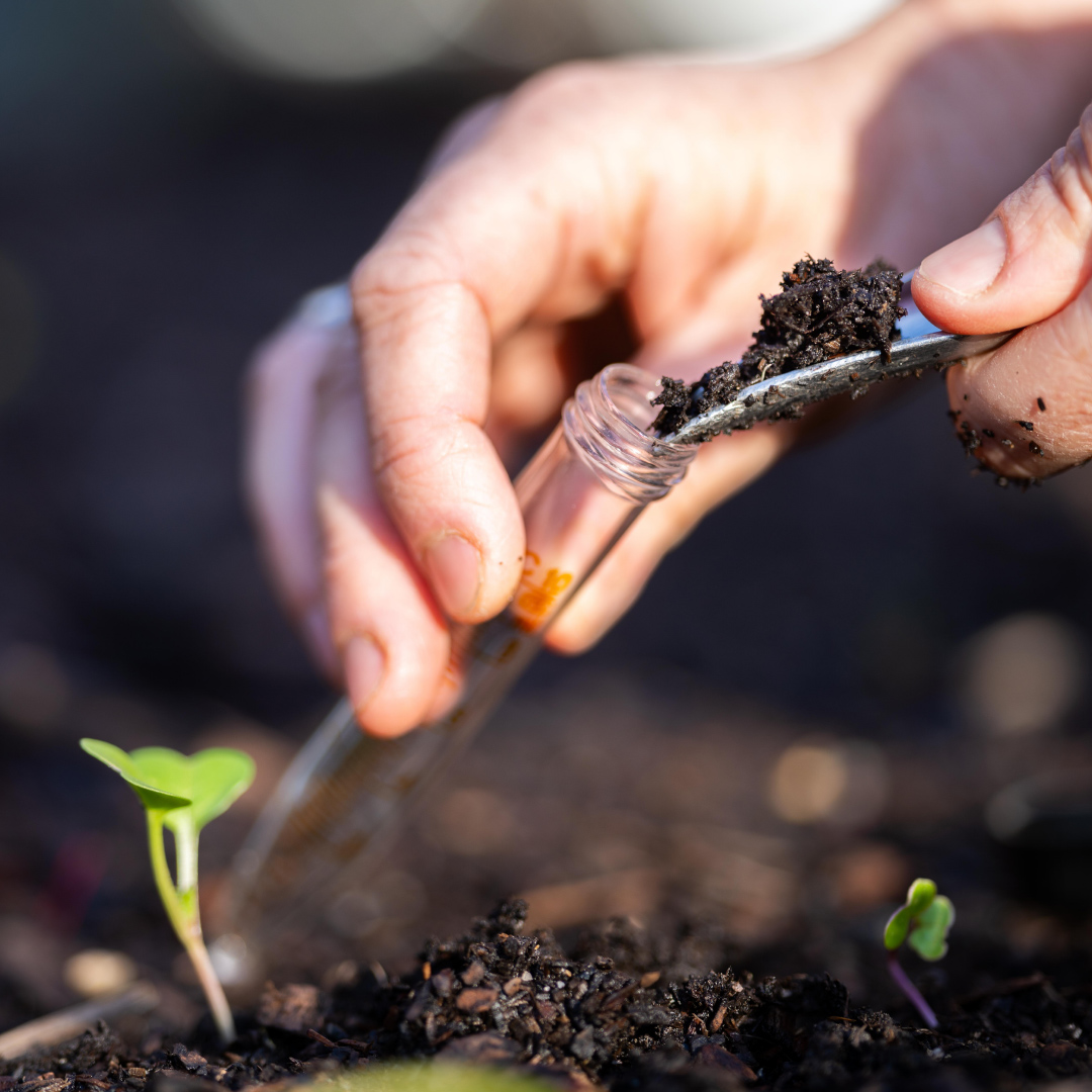 🌿 Soil plays a vital role in tackling climate change by capturing CO₂ through carbon sequestration. This process enriches the soil, boosts fertility, and supports ecosystem health. 🌱🌳

#EXCALIBURh2020 #biodiversity #soil #HorizonEurope #EU #H2020