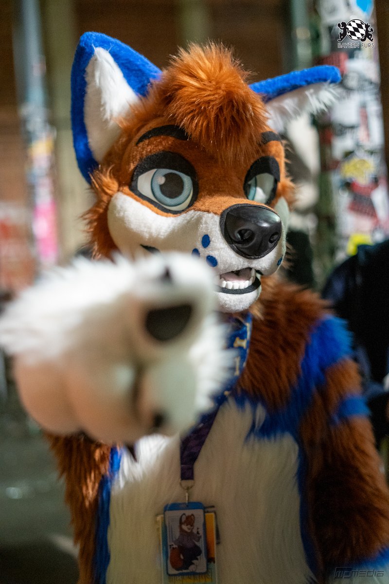 BayernFurs's tweet photo. "I want You, to be my valentine <3"
#BFD13 #FursuitFriday
🐶 @realMalunis
📸 @Morkai_Pawpad
Ihr wollt uns unterstützen? Super!
Dann hier entlang, unter
https://t.co/ARcYxO2uAP https://t.co/0ptSaCQh1B