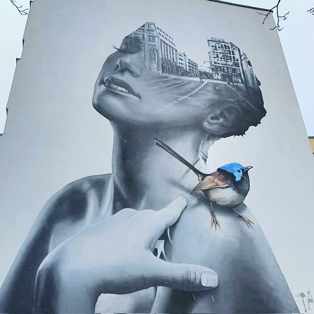 zest_citygems's tweet photo. А marvelous and aesthetical graffiti in the random #berlin yard

👍 Vlomingos recommends finding this
#Travel #graffiti #cityexploration #FridayVibes https://t.co/x7gWYnNLNe