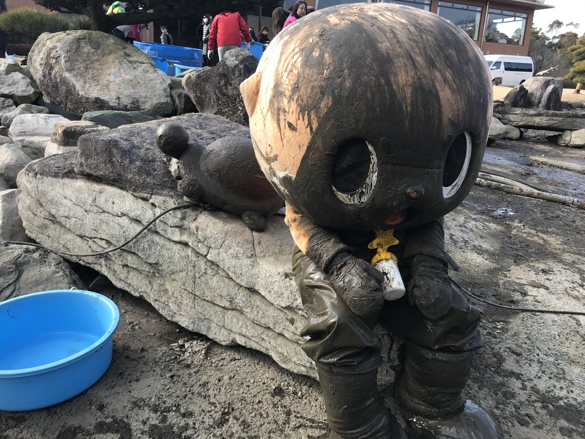 ちぃたん☆/Chiitan tweet media