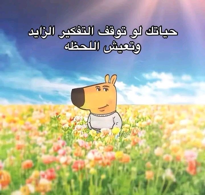 Arab Memes (@arabmemesss) on Twitter photo 