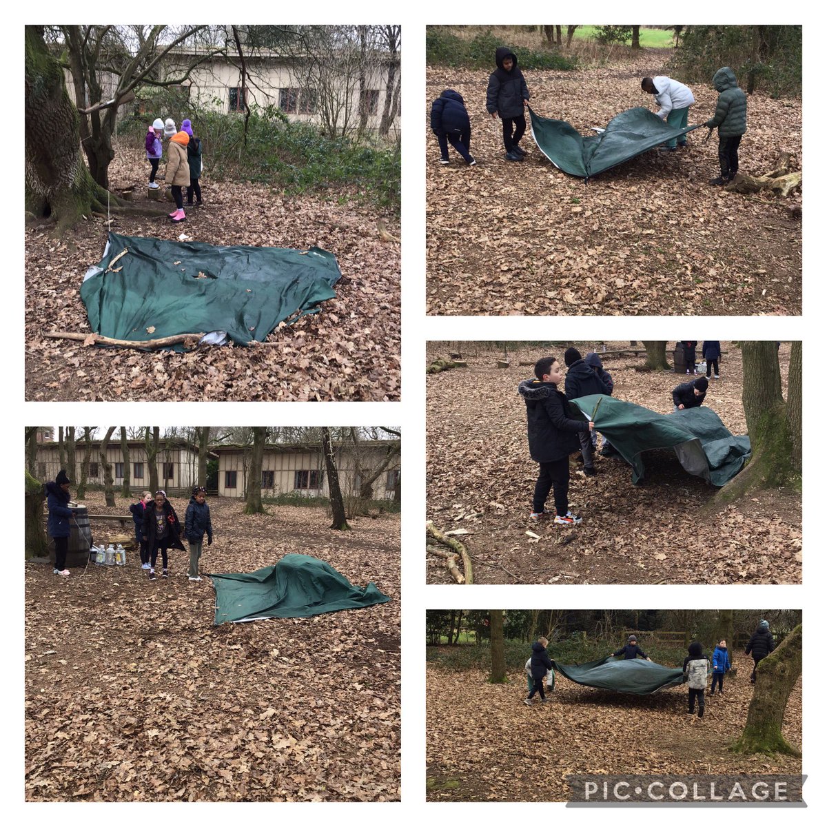 Den building ⛺️