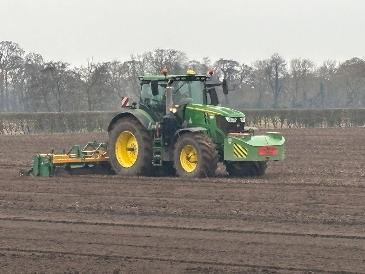 Alexander Silverwood tweet media