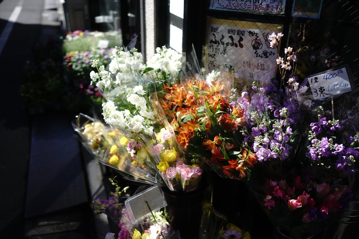 人は社会に役立つために生まれてきたわけじゃないの