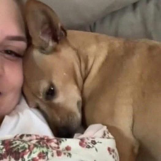 iacervo's tweet photo. eu com a única pessoa que me suporta (meu cachorro) https://t.co/CikJ4HKVP7