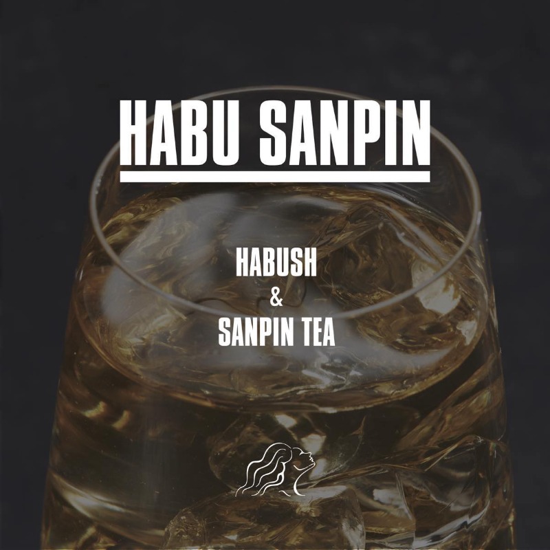 habush.jp (@habush_jp) / X