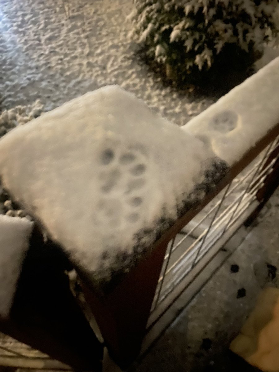 iiiomyy's tweet photo. I took pictures tryna show off the paw prints n didnt realize how terrible they r https://t.co/1VFg3oyDSC