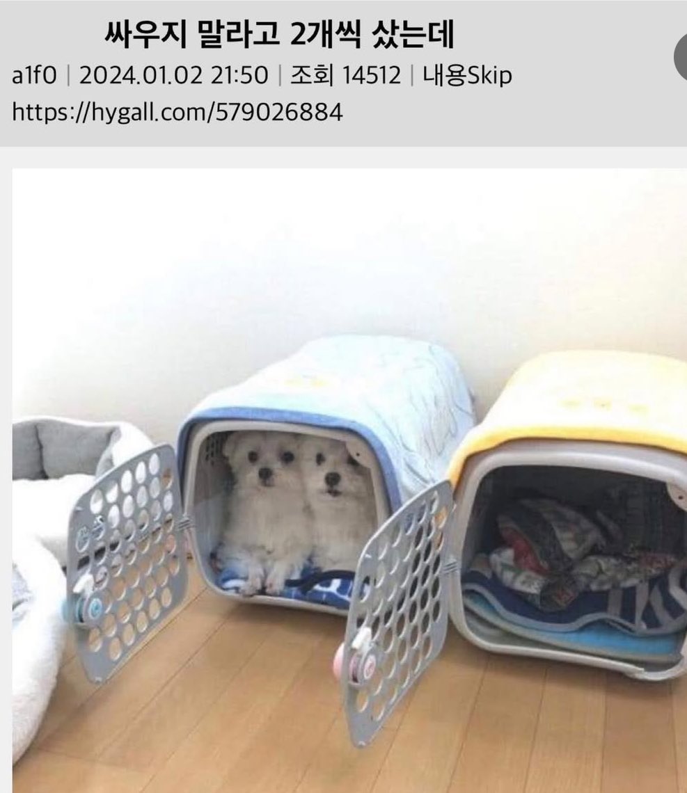 옹기종기강아지들 쫍은데 딱붙어가지고