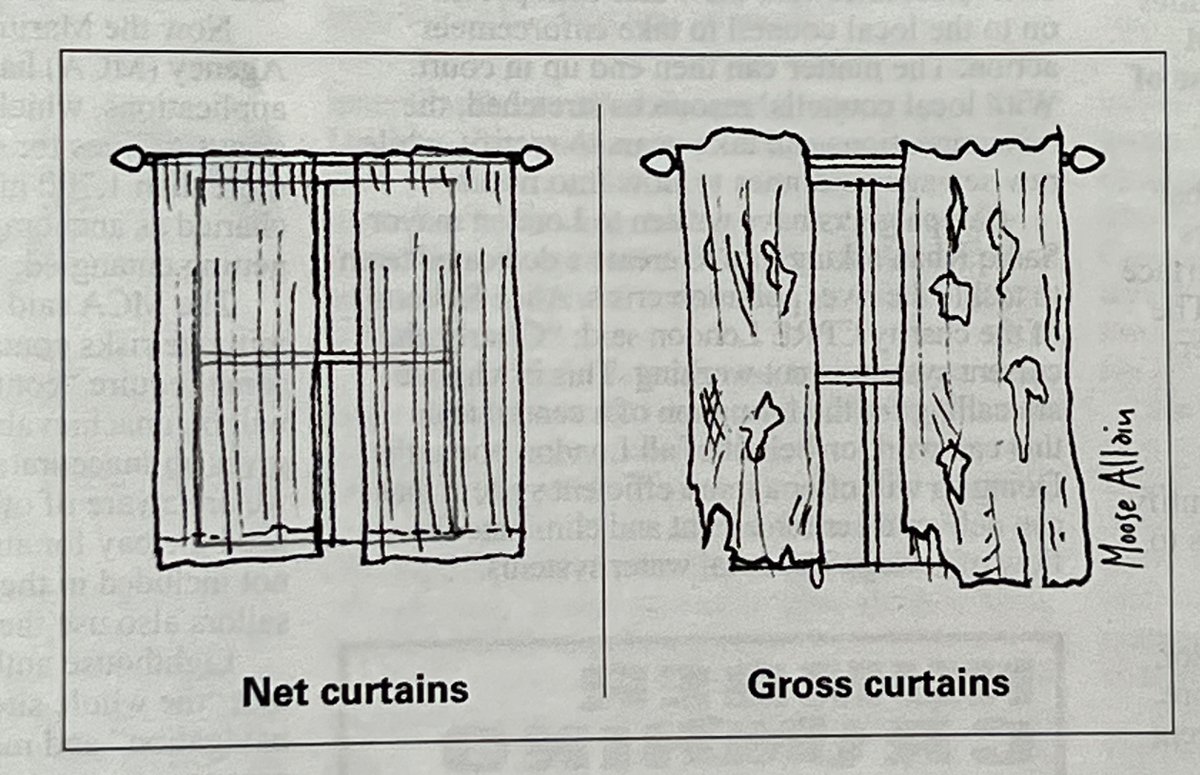 I have a cartoon in the current Private Eye. I drew the curtains.