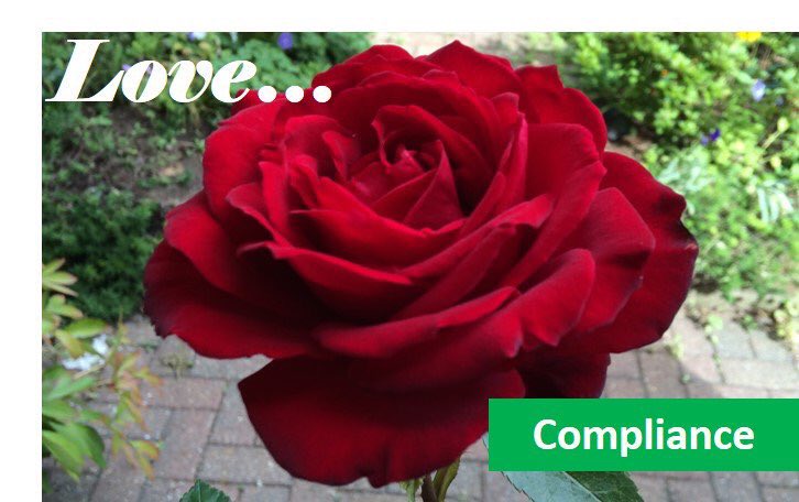 Morley Consulting tweet media