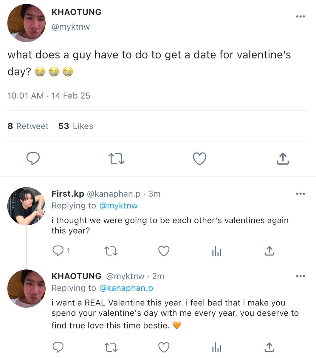 tigerlynx cafe employee cat tweet media