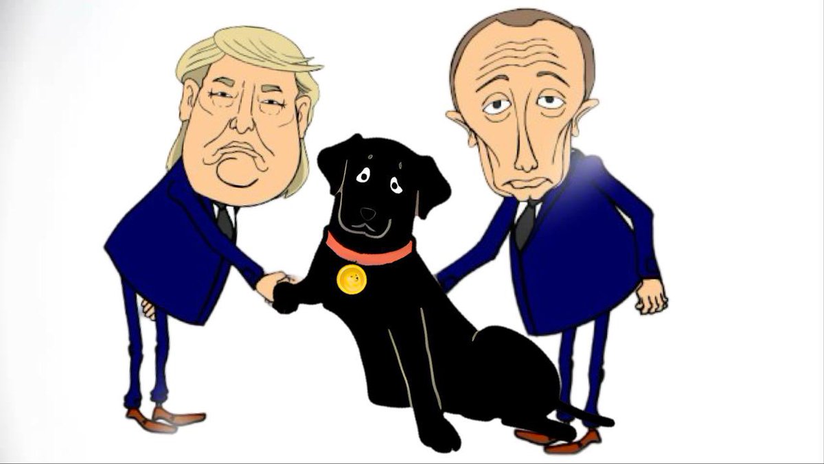 #dogknewit $DKI #bitcoin #Trump $SOL #Putin #cryptocurrency #memcoin