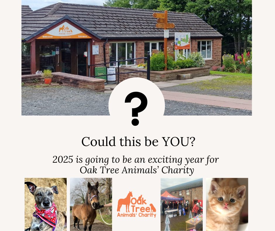 Oak Tree Animals' Charity (@oaktreeanimals) on Twitter photo CHAIR OF TRUSTEES WANTED
Are you a passionate leader with fundraising expertise? Oak Tree Animals' Charity is seeking a voluntary Chair of Trustees to guide our committed Board in continuing to deliver vital support to animals in need.
communications@oaktreeanimals.org.uk🐾❤️ CHAIR OF TRUSTEES WANTED
Are you a passionate leader with fundraising expertise? Oak Tree Animals' Charity is seeking a voluntary Chair of Trustees to guide our committed Board in continuing to deliver vital support to animals in need.
communications@oaktreeanimals.org.uk🐾❤️